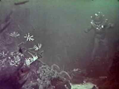 And I found nothing, - Voyage to the Planet of Prehistoric Women