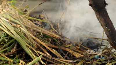 AND I GUESS FOR THE SURVIVOR - Man vs. Wild