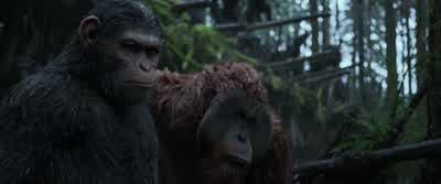 And I have a message for himLeave us the woods and the killing can stop - War for the Planet of the Apes