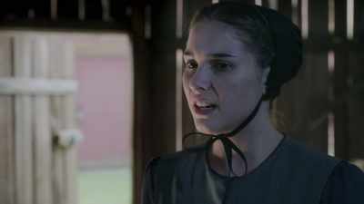     And if I hear that anyone
   touched my little sister... - An Amish Sin