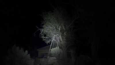 And I just got into bed - Horror in the High Desert 2: Minerva