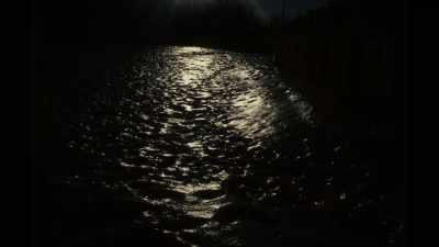 And I just went out like that. - All the Beauty and the Bloodshed