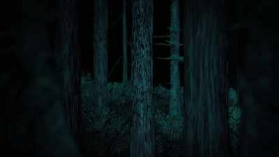 And I know that there
were all these stories - Sasquatch