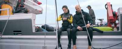 And I know where this - The Meg