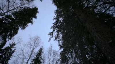 And I learned that I needed to
slow down and pay attention. - Life Below Zero: Next Generation