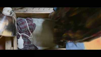 And I look over behind the toilet... - The Biggest Little Farm: The Return
