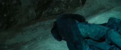...and if I may say so,a certain disregard for the rules. - Harry Potter and the Chamber of Secrets