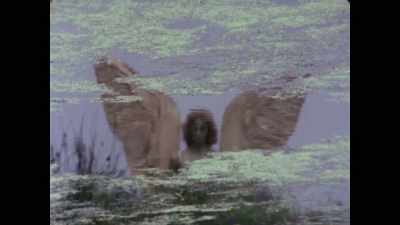 And I mean, he's haunted by a figure - Woodlands Dark and Days Bewitched: A History of Folk Horror