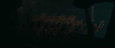 And I presume this, - Fantastic Beasts: The Secrets of Dumbledore