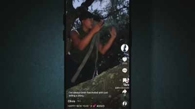 And I provide spotlight to them, - #CyberSleuths: The Idaho Murders