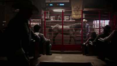 And I remember the same
horse farm manager saying, - Cowboy Cartel