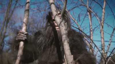 And I saw one
place where a tree, - Secrets of the Sasquatch
