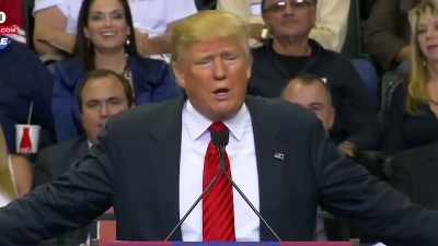And I say, - Trump: The Art of the Insult