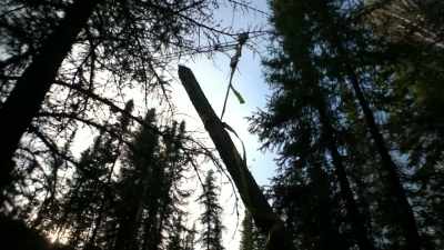 And I still am able to stick
with my values of using - Life Below Zero: Next Generation