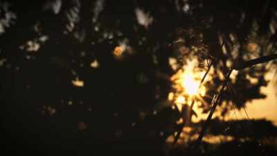 And I stood out there
just kinda scoping - Secrets of the Sasquatch