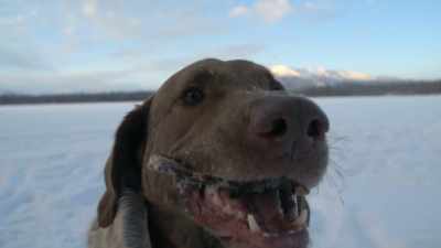 And I think a lot of people
would view this process - Life Below Zero: Next Generation