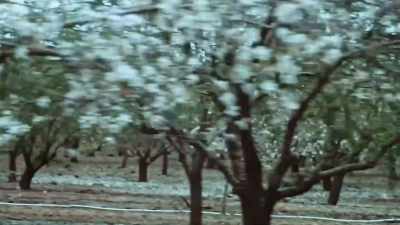 And I think every single thing
that I experienced along my life - Israelism