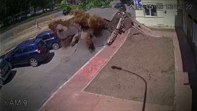 AND I THINK IT'S IMPORTANT
TO NOTICE THAT THE CAMERA - Strange Evidence