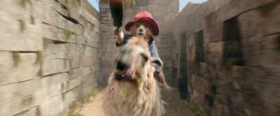 And I think it's up here.
Thank you. - Paddington in Peru