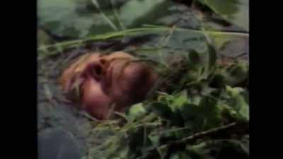 And I think - Woodlands Dark and Days Bewitched: A History of Folk Horror