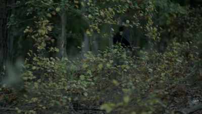 AND I THINK THAT IS GOING TO
BOLSTER HIS CONFIDENCE - The Golden State Killer: It's Not Over