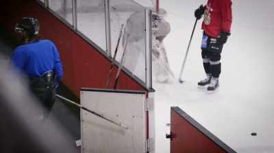And I think there's some things said, - Ice Guardians