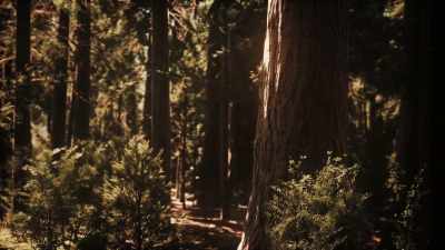 And I thought, "I can teach mindfulness." - Is Mindfulness Right for You?