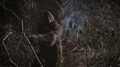 And so I thought, well,
and I said to her, - Secrets of the Sasquatch