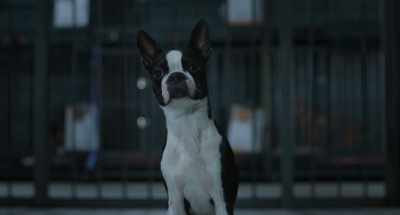And I told myself that I would
never say her name again, - Strays