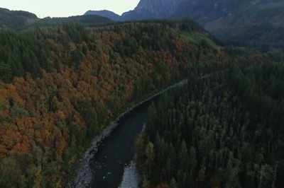 And so I used that as a
guideline and I started thinking
about the Skykomish, - Artifishal