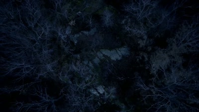 And I volunteered to come
out here - Beyond Skinwalker Ranch