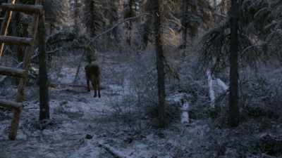 And I want her to
be out here with me, - Life Below Zero: Next Generation