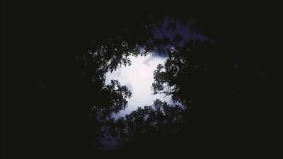 And I went a mile and a half,
two miles down the trail - Secrets of the Sasquatch
