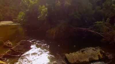 And I will say to you,
with the exception - A Mindful Choice