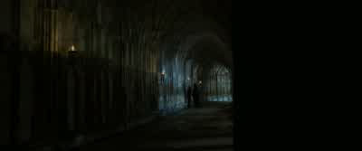And I won't fail him.- You're afraid, Draco. - Harry Potter and the Half Blood Prince