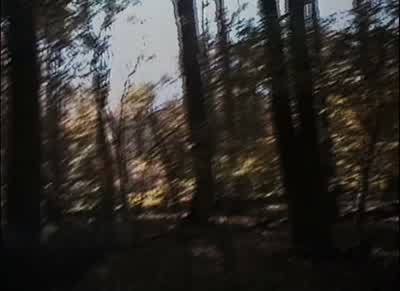 And I won't get to see it'cause I'll be in the woods - The Blair Witch Project