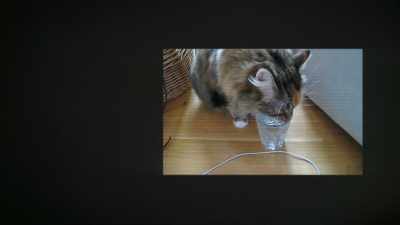 And I'd taken it with maybe
my first digital camera, - The YouTube Effect