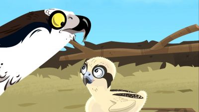 And I'll name you Fluffy Flier. - Wild Kratts