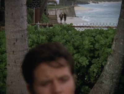 AND I'LL NEED THE HELICOPTER. - Hawaii Five-0