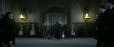 And I'm afraid it's quite extensive. - Harry Potter and the Deathly Hallows: Part 2
