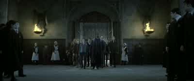 And I'm afraid it's quite extensive. - Harry Potter and the Deathly Hallows: Part 2