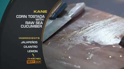 And so I'm going to present the
sea cucumber in its raw form. - Chopped Next Gen