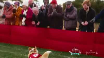 And I'm heading back
to the cottage - A Royal Corgi Christmas