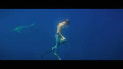 And I'm hoping that can
be an infective thing, - Envoy: Shark Cull