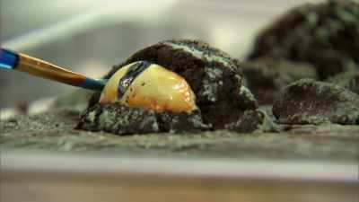 And I'm just adding brown
to give it that aged look. - Halloween Cookie Challenge