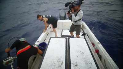 And I'm looking at the biggest
tuna that I've ever seen - Deadliest Catch: Bloodline