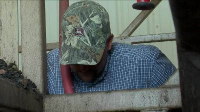 AND I'M LOOKING FOR CLOGS? - Dirty Jobs