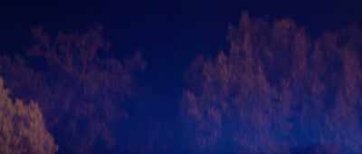 And I'm not now.
I didn't kill Asa Waite. - Suitable Flesh