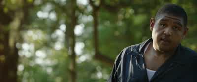 And in case you got any interestGator eats breakfast nearly every day at Lions café just like meNow he don't look like much or nothingbut you remember what I told youhe ain't trueCrazy waiting to happen - Homefront
