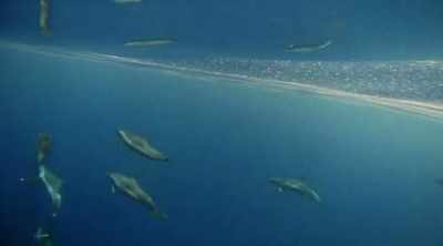 And in fact,
the military still fund - Mysteries of the Deep